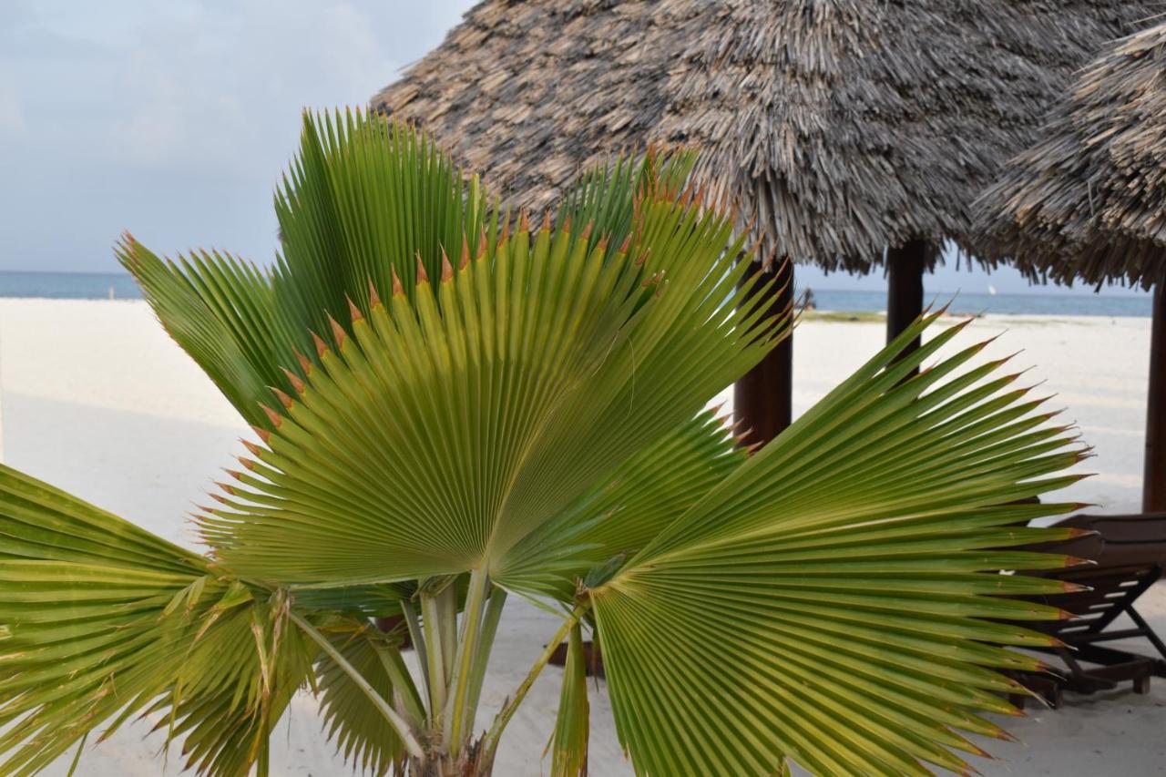 Kendwa Beach Resort 外观 照片