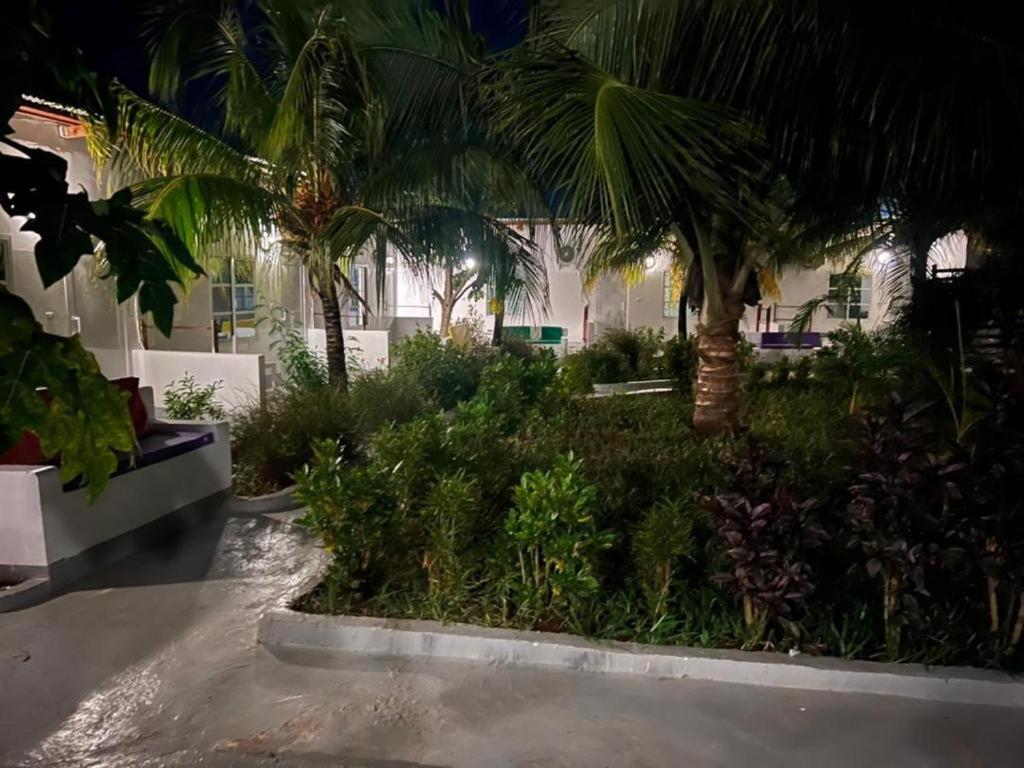 Kendwa Beach Resort 外观 照片